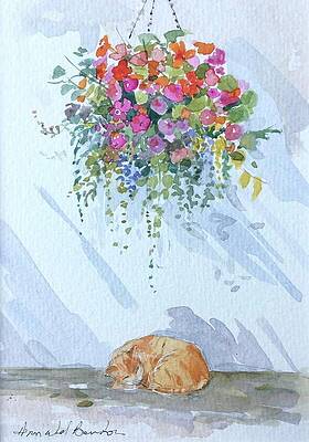 Hanging Basket and Cat by Annabel Burton