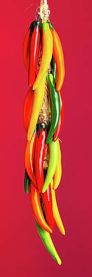 Hanging Chile Peppers on Red Background by SR Green Hanging Chile Peppers on Red Background by SR Green
