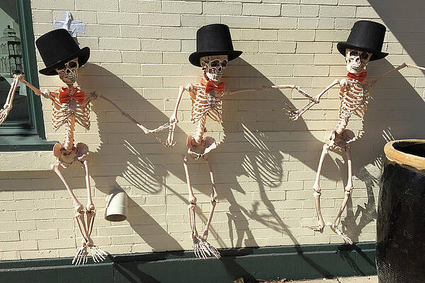 Hanging Out on Halloween by Jerry Griffin Hanging Out on Halloween by Jerry Griffin