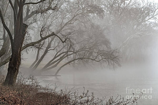 Hanging Out With Fog by Ava Reaves Hanging Out With Fog by Ava Reaves