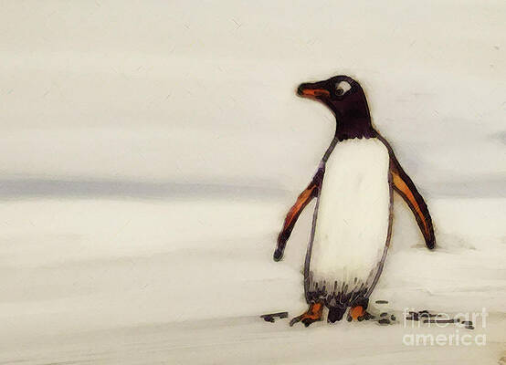 happy feet by Shelley Myers happy feet by Shelley Myers