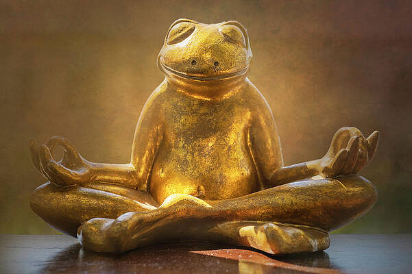 Yoga Frog Art for Sale - Fine Art America