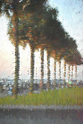 Wall Art - Photograph - Harbor Palms in Abstract by Roberta Byram