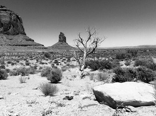 Hardscrabble Land by Calvin Boyer Hardscrabble Land by Calvin Boyer