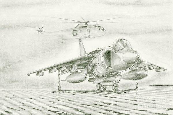 Wall Art - Drawing - Harrier by Frank Vos