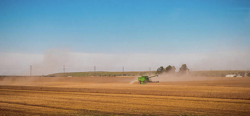 Harvest by Daniel Jeffrey