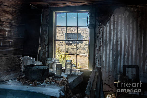 Haunting Times by Sandra Bronstein Haunting Times by Sandra Bronstein