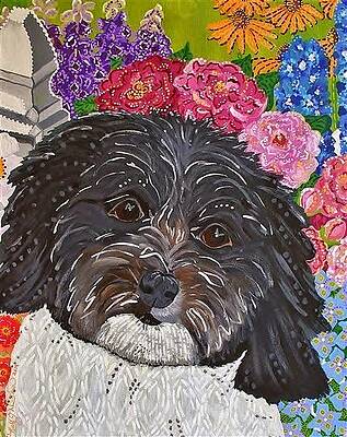 Havanese portrait by Kelly Nicodemus-Miller Havanese portrait by Kelly Nicodemus-Miller