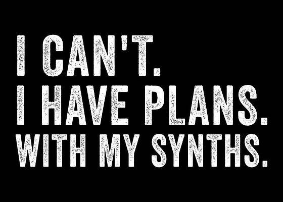Have Plans With My Synths Poster by Sean Walsh