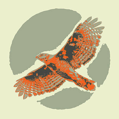 Wall Art - Mixed Media - Hawk abstract V2 by David McKinney