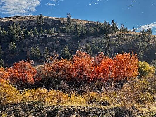 Autumn at Hawk Creek by Jerry Abbott Autumn at Hawk Creek by Jerry Abbott