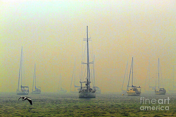 hazy days by Shadowlea Is hazy days by Shadowlea Is