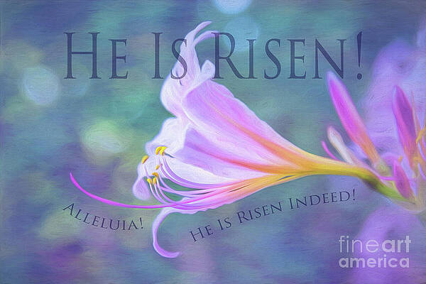 He Is Risen by Sharon McConnell He Is Risen by Sharon McConnell