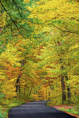 Heading into the Fall by Sebastian Musial Heading into the Fall by Sebastian Musial