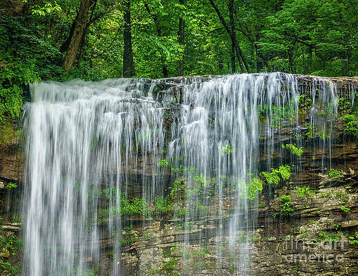 Hemlock Falls in Cloudland by Nick Zelinsky Jr Hemlock Falls in Cloudland by Nick Zelinsky Jr