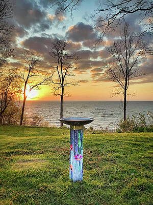 Here's to Better Days by Rebecca Samler Here's to Better Days by Rebecca Samler