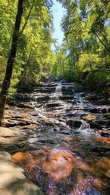 Hiawassee Falls Summer  by Susie Cassens