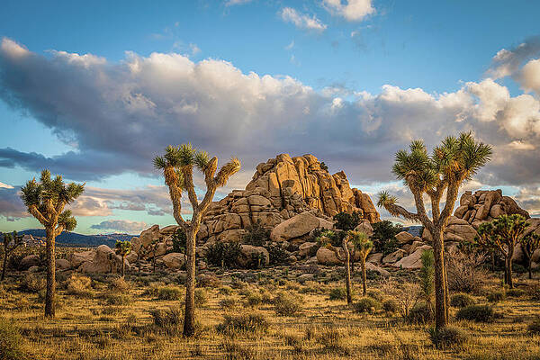 Hidden Valley Campground by Peter Tellone Hidden Valley Campground by Peter Tellone