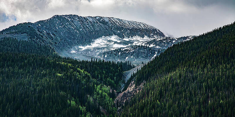 Wall Art - Photograph - High meadows Colorado by Tommy Farnsworth