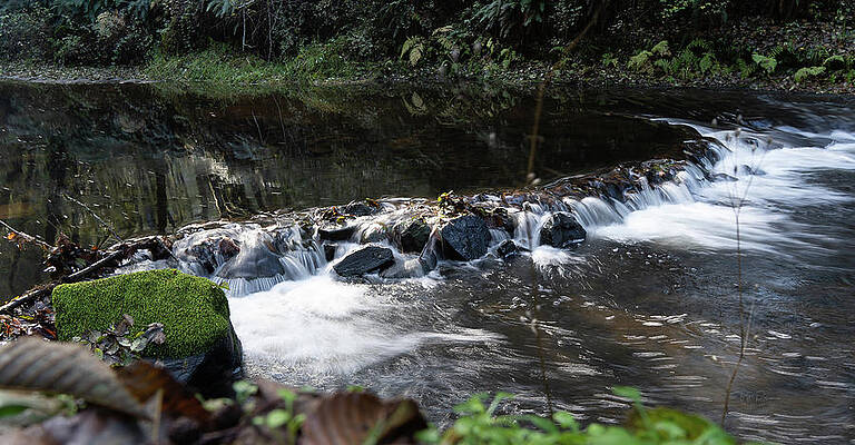 Wall Art - Photograph - Hiking the Stream by Bill Posner