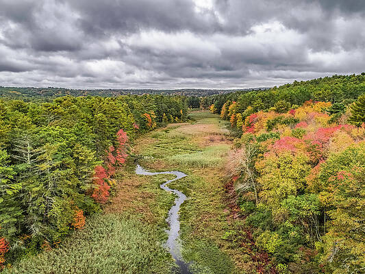 Hodge Pond by Michael Hughes Hodge Pond by Michael Hughes