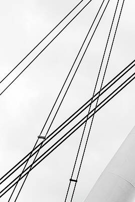 Wall Art - Photograph - Hold On Tight by Christi Kraft