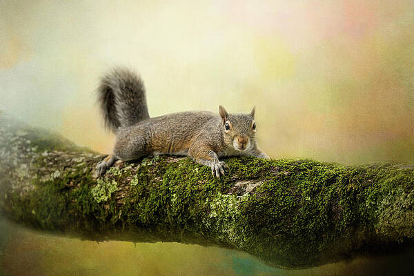 Holding Down My Branch by Jai Johnson Holding Down My Branch by Jai Johnson