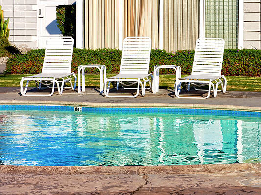 HOLLY DAY Palm Springs by William Dey HOLLY DAY Palm Springs by William Dey
