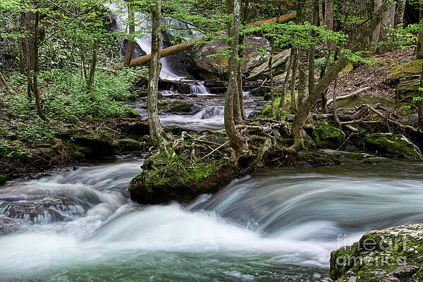 Honey Cove Falls 2 by Phil Perkins Honey Cove Falls 2 by Phil Perkins