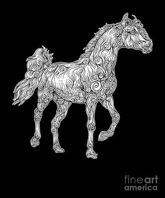 Horse Evolution Art Fine Art America