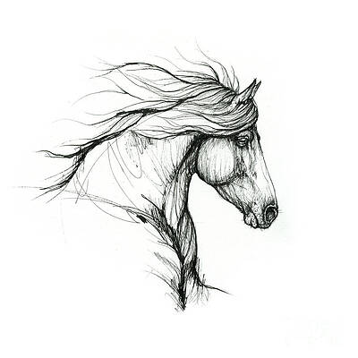 Fire and horse Sketch... #design #diseño #color #pen #hors… | Flickr