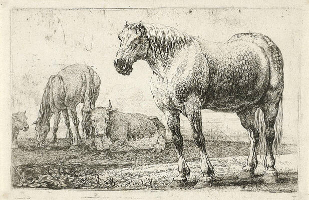  Horses and cows Print by Jan van den Hecke