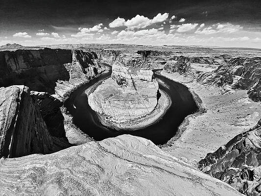 Horseshoe Blend Black and White by Chance Kafka Horseshoe Blend Black and White by Chance Kafka