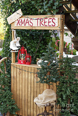 Hot Cocoa and XMas Trees by Iris Richardson Hot Cocoa and XMas Trees by Iris Richardson