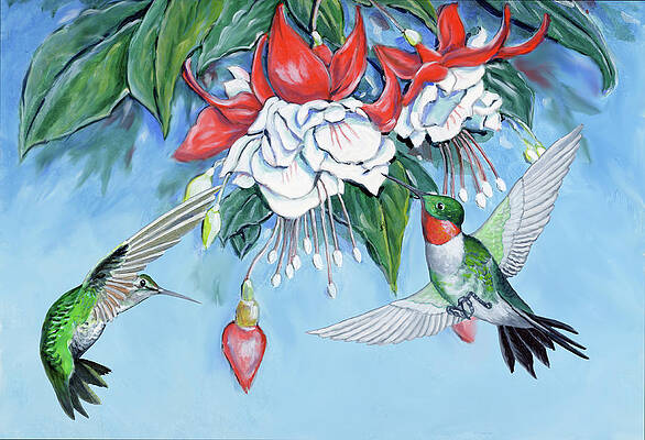 Humming Birds and Fuchsias by Richard De Wolfe Humming Birds and Fuchsias by Richard De Wolfe
