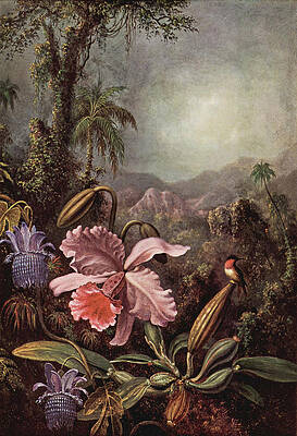 Wall Art - Painting - Hummingbird and Orchids by Martin Johnson Heade