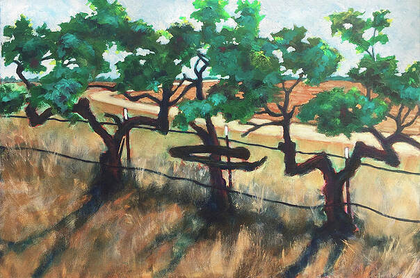 Hungry Hollow Grapevines by Patrick Cosgrove Hungry Hollow Grapevines by Patrick Cosgrove