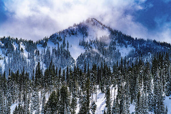 Nature Wall Art featuring the photograph Hurricane Ridge Winter Glow by Tommy Farnsworth