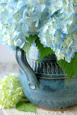 Hydrangeas in Blue Pottery Pitcher by Dianne Sherrill Hydrangeas in Blue Pottery Pitcher by Dianne Sherrill