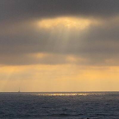 Wall Art - Photograph - I am the Light by Troy Alexander