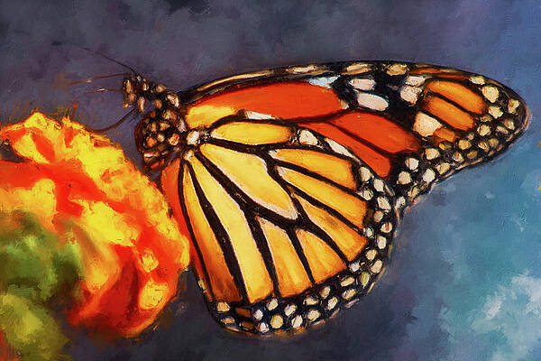 I dreamt I was a Butterfly - 02 by AM FineArtPrints I dreamt I was a Butterfly - 02 by AM FineArtPrints
