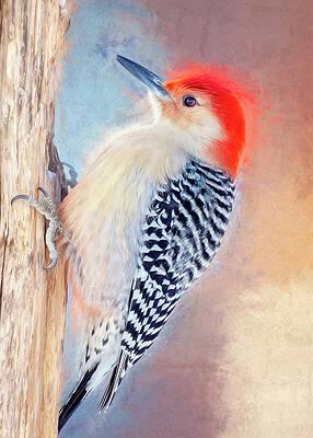 I Dreamt Of A Woodpecker by Bill Tiepelman I Dreamt Of A Woodpecker by Bill Tiepelman