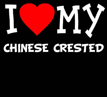 Wall Art - Digital Art - I Love My Chinese Crested Dog Breed by Flippin Sweet Gear