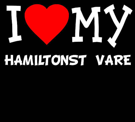 Wall Art - Digital Art - I Love My Hamiltonstvare Dog Breed by Flippin Sweet Gear