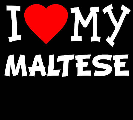 Wall Art - Digital Art - I Love My Maltese Dog Breed by Flippin Sweet Gear