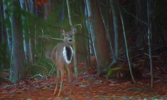 I See You by Michael Mayo