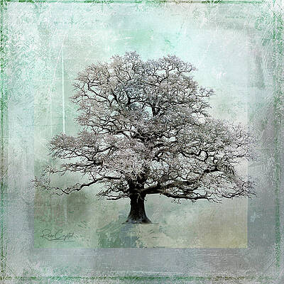 I Think That I Shall Never See... by Rene Crystal I Think That I Shall Never See... by Rene Crystal