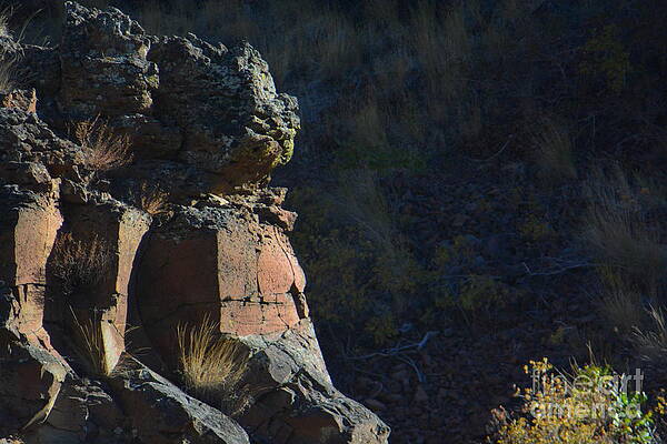 I wait for the warmth of YHWHs Greater Light by YHWHY Vance I wait for the warmth of YHWHs Greater Light by YHWHY Vance