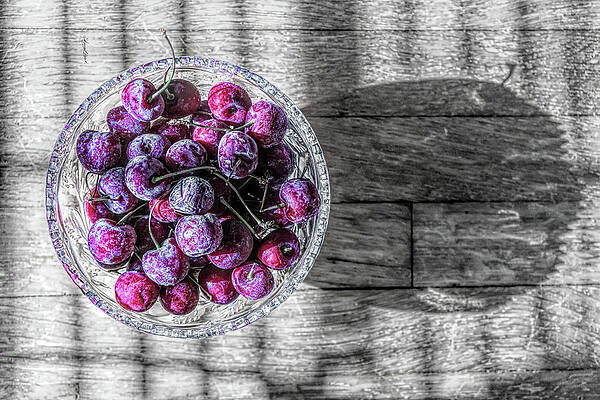 Iced Cherries Selective Color by Sharon Popek Iced Cherries Selective Color by Sharon Popek