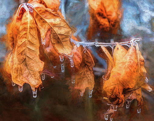 Icicles in Late Autumn by George Moore Icicles in Late Autumn by George Moore
